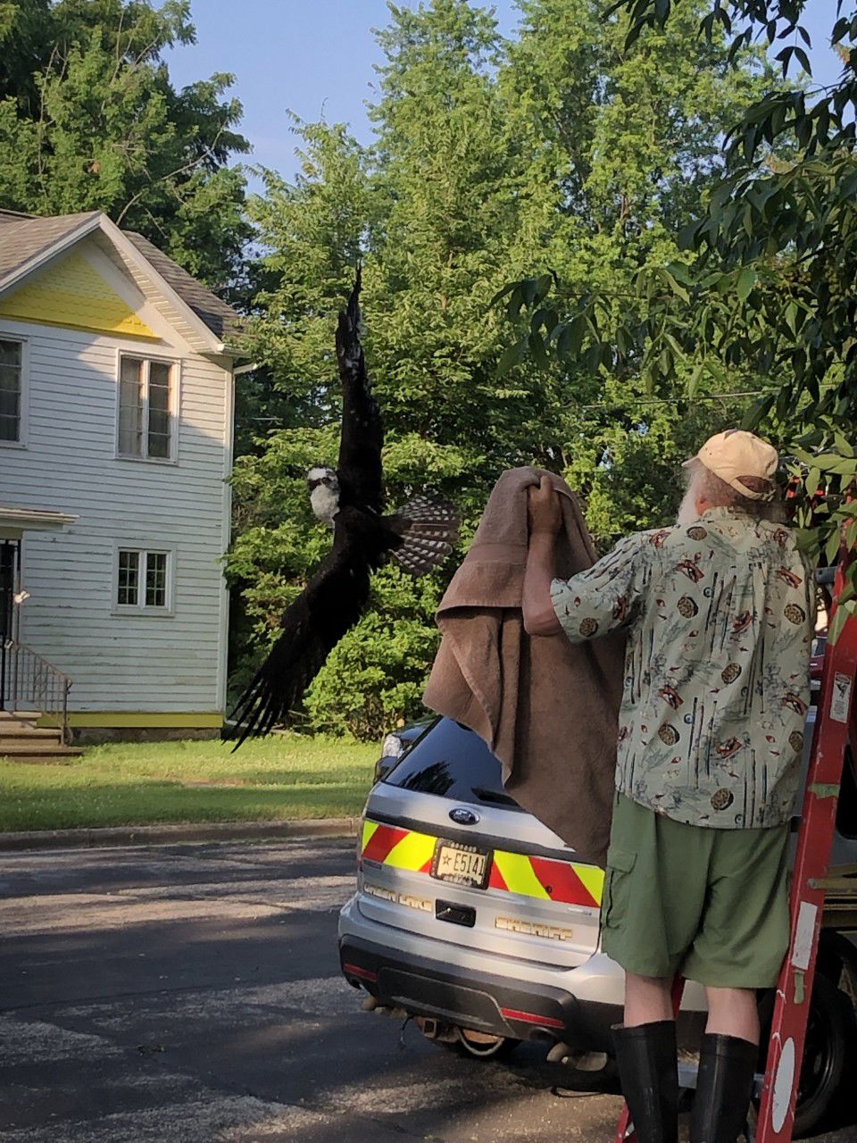 Osprey Rescue-1